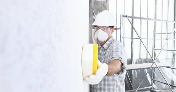 Professional Mold Removal & Remediation in San Buenaventura, CA